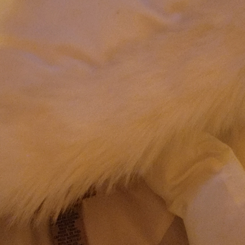 Girls Coat - Picture 7 of 11
